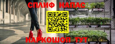 спайс Краснознаменск