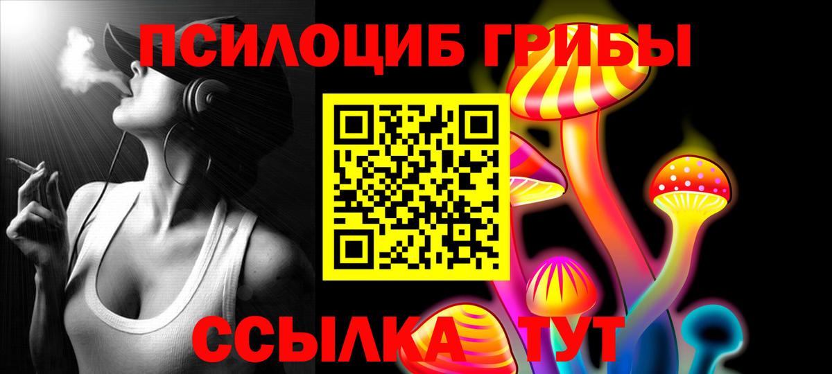 Псилоцибиновые грибы GOLDEN TEACHER  Вход с VPN  Касимов 